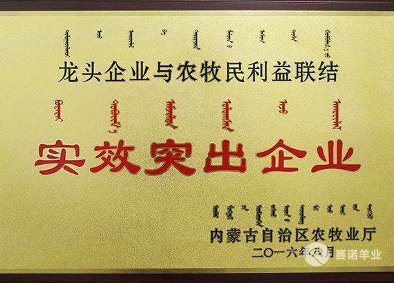龍頭企業(yè)與農(nóng)牧民利益聯(lián)結實效突出企業(yè)